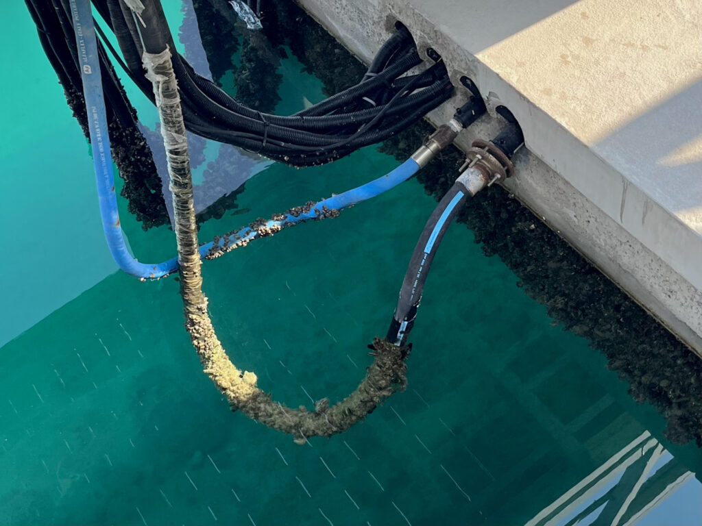biofouling on pontoon and plumbing
