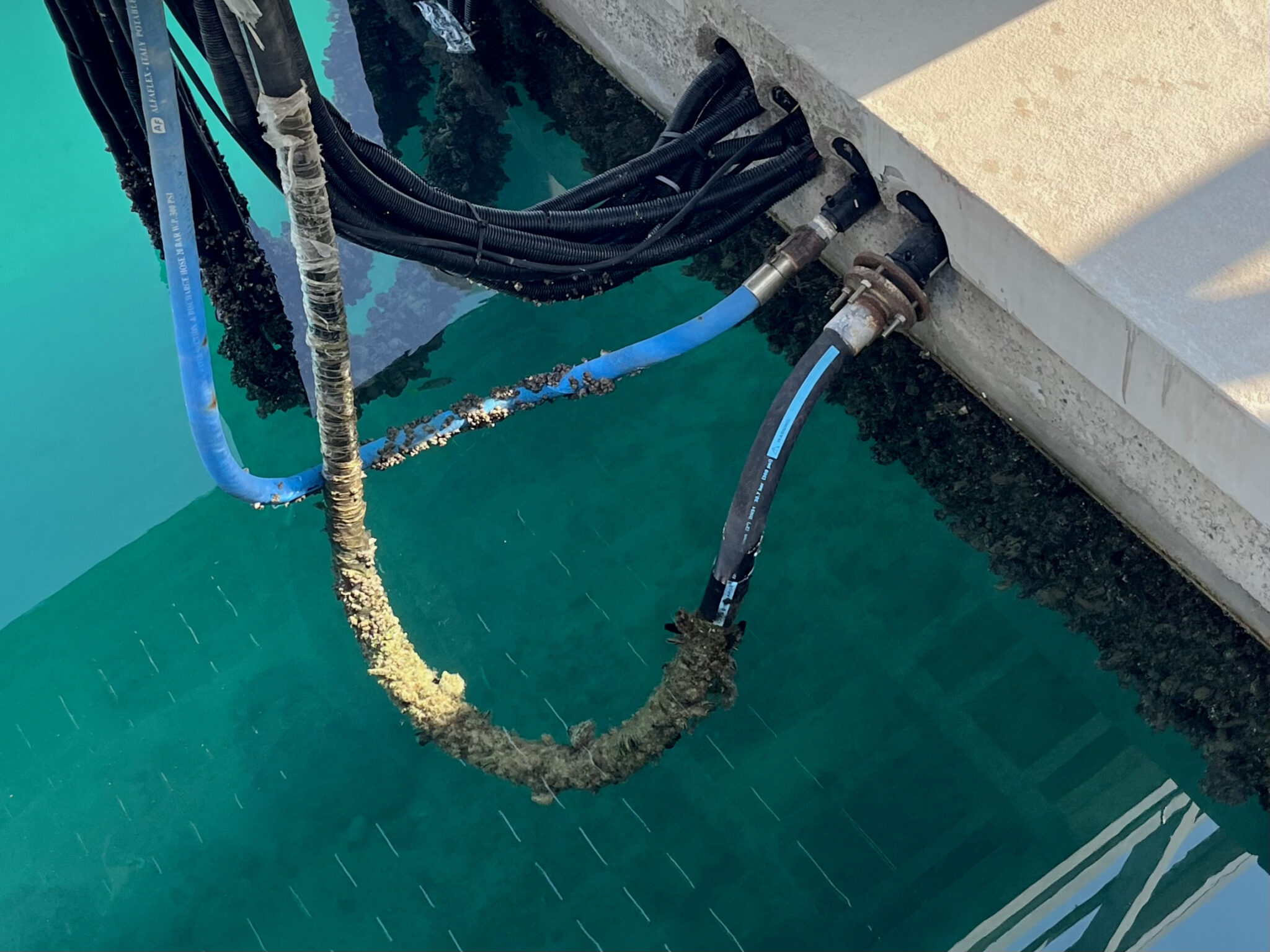 What the Shell! Biofouling Causes and Marine Design Implications